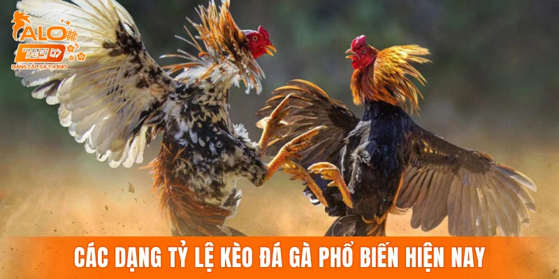 Các dạng tỷ lệ kèo đá gà phổ biến hiện nay