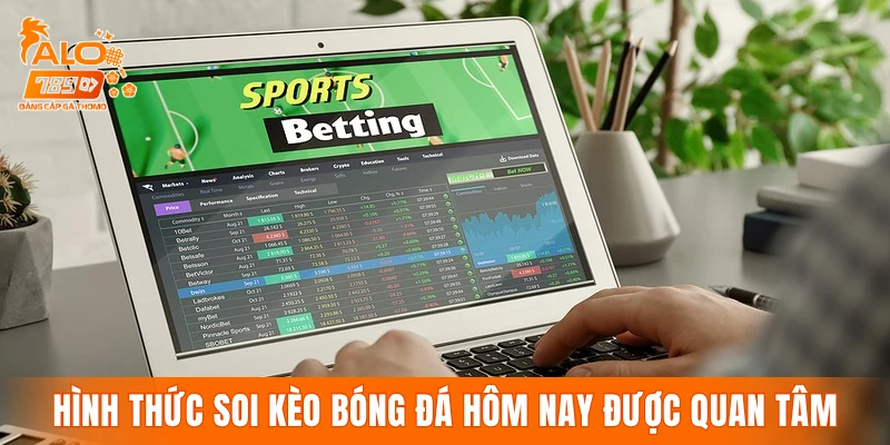Các hình thức soi kèo bóng đá hôm nay được quan tâm