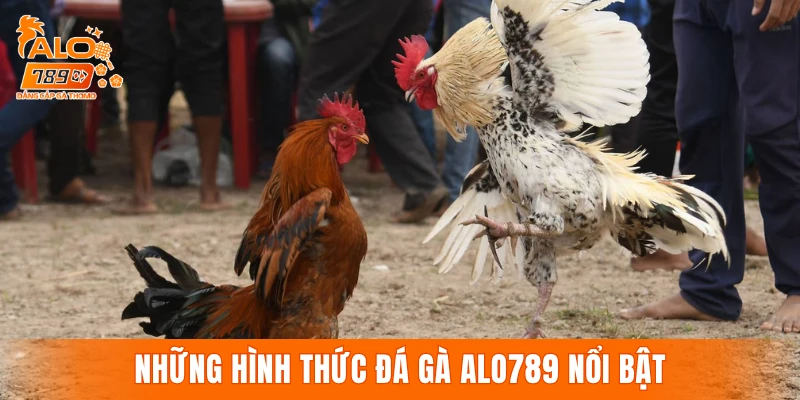 Những hình thức đá gà ALO789 nổi bật